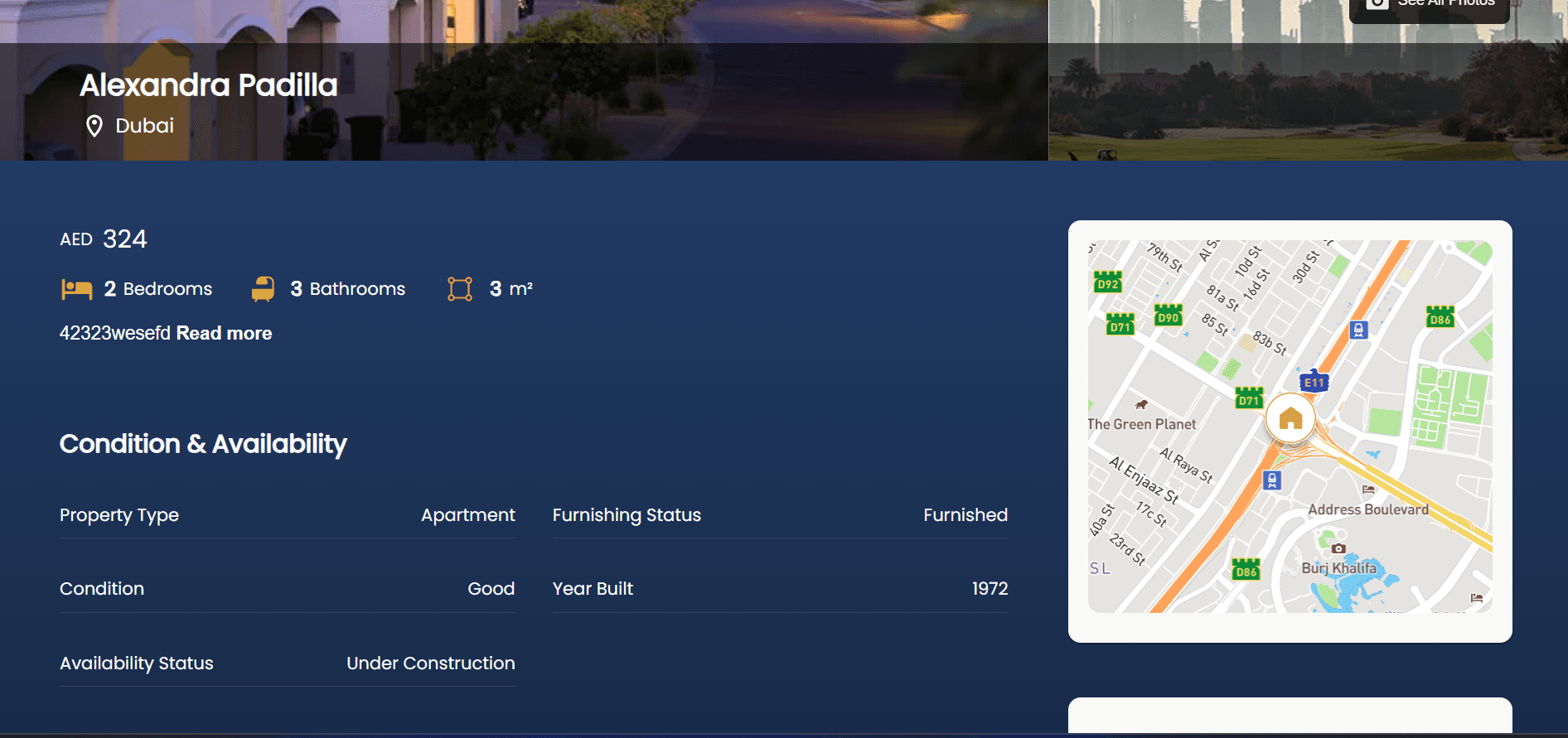 Dubaianer – Property Details Page